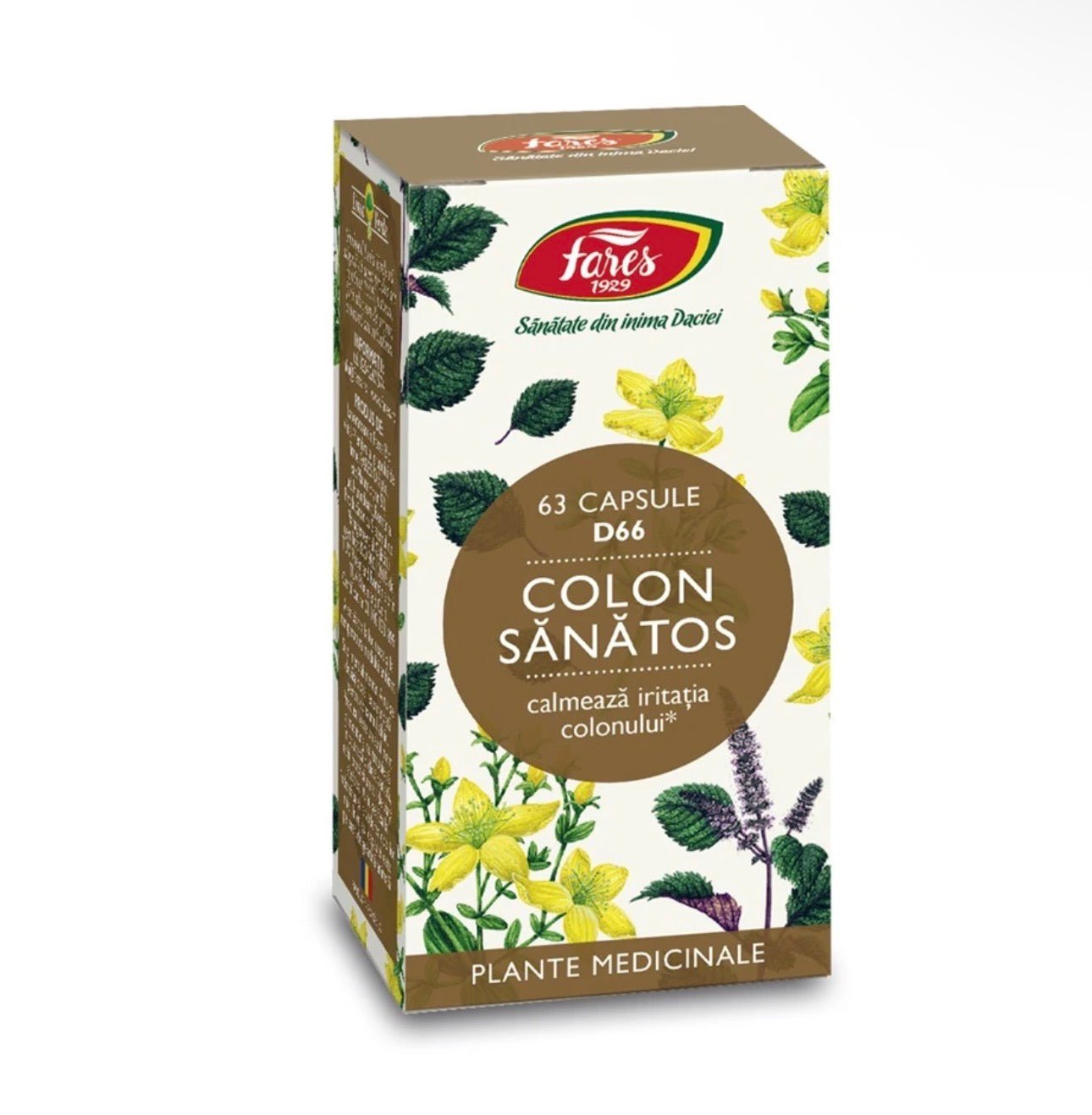 Colon Sanatos Fares, 63 Capsule - Cheia Sănătății