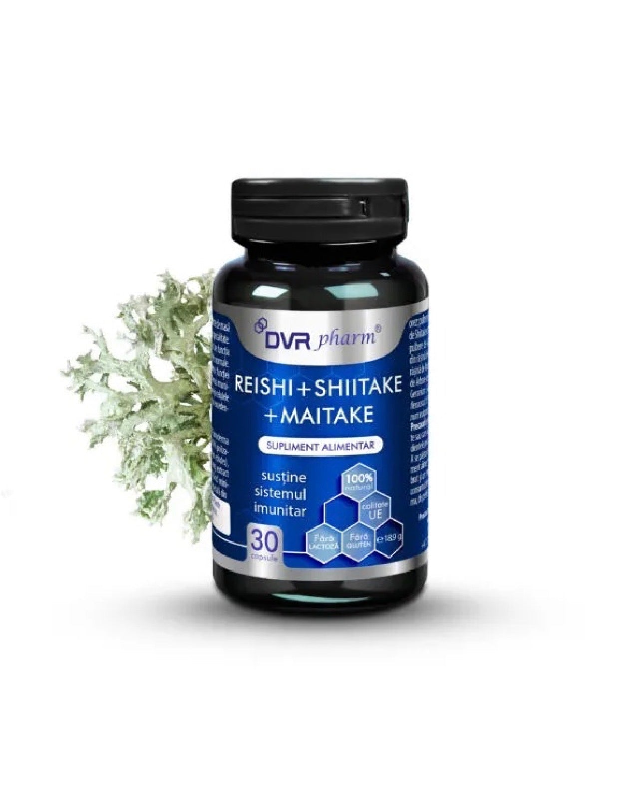 Reishi, Shiitake si Maitake, 30 capsule, DVR Pharm - Cheia Sănătății