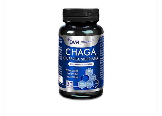 Chaga Ciuperca Siberiană Pentru Imunitate 30 Capsule DVR Pharm - Cheia Sănătății